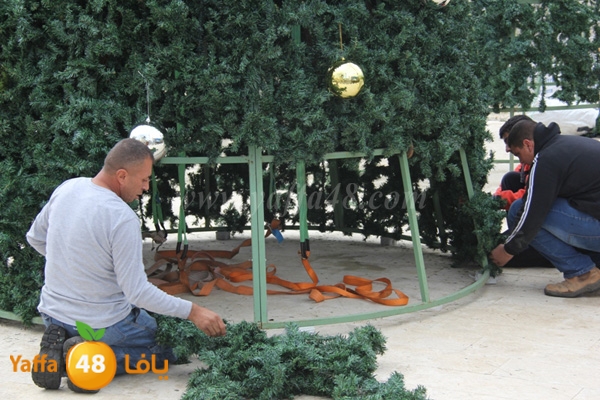 tree 3ed miladj3 (2).JPG